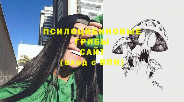 дурь Арсеньев