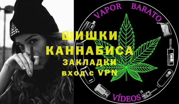 дурь Арсеньев