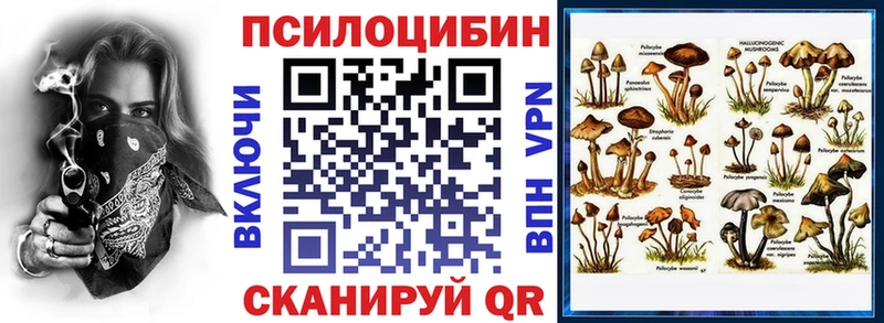 hydra онион  Красный Кут  Псилоцибиновые грибы GOLDEN TEACHER 