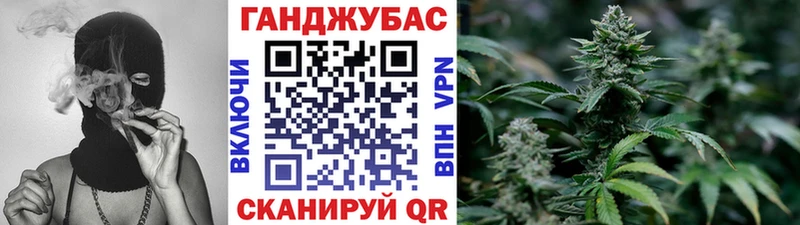 Канабис гибрид  Красный Кут 